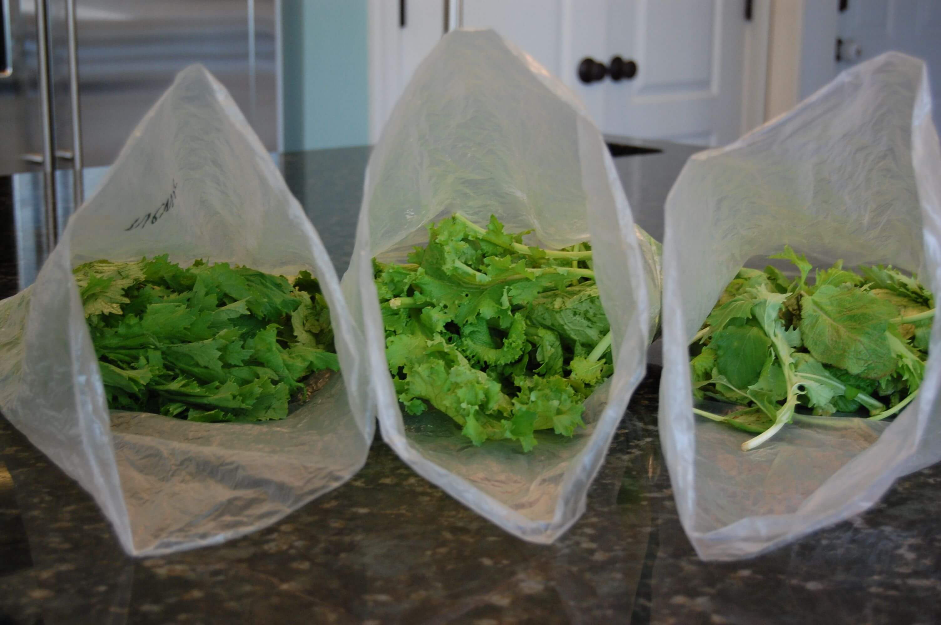 Three bags of different varieties of lettuce.