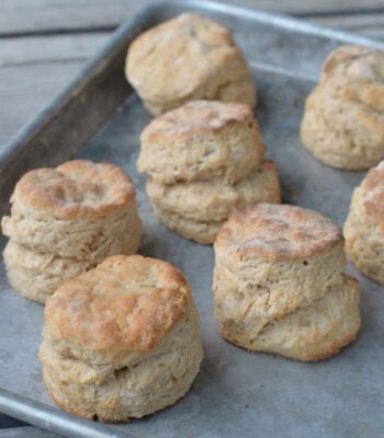 whole wheat biscuits snack ideas for adults