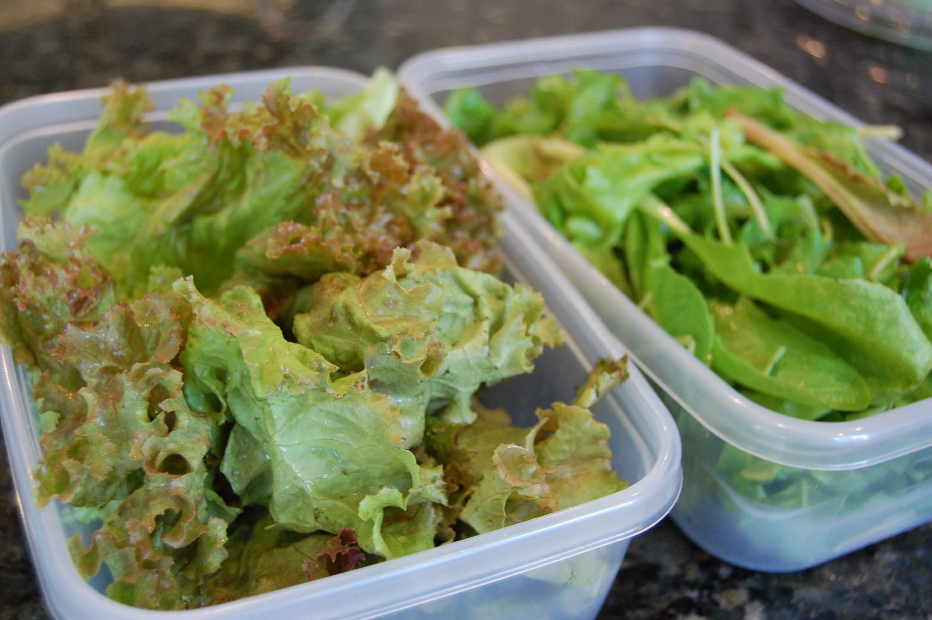 Two plastic containers with mixed greens on a counter. 