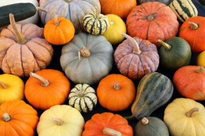 Types of pumpkins.