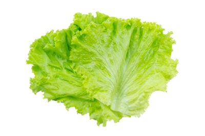 Types of lettuce.